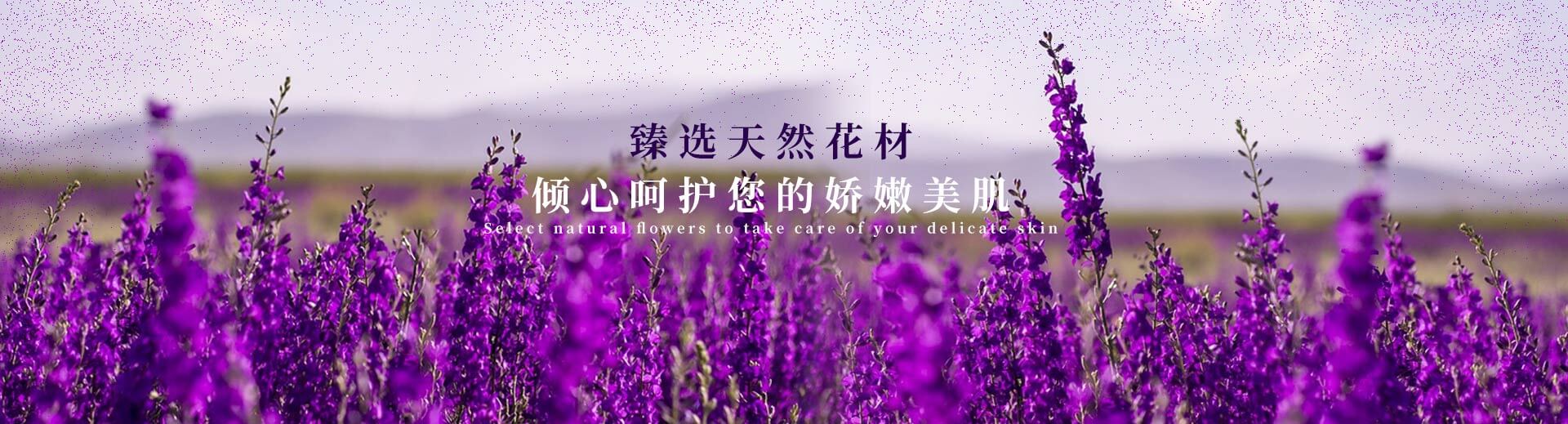 濟(jì)寧泰銘重工機(jī)械有限公司